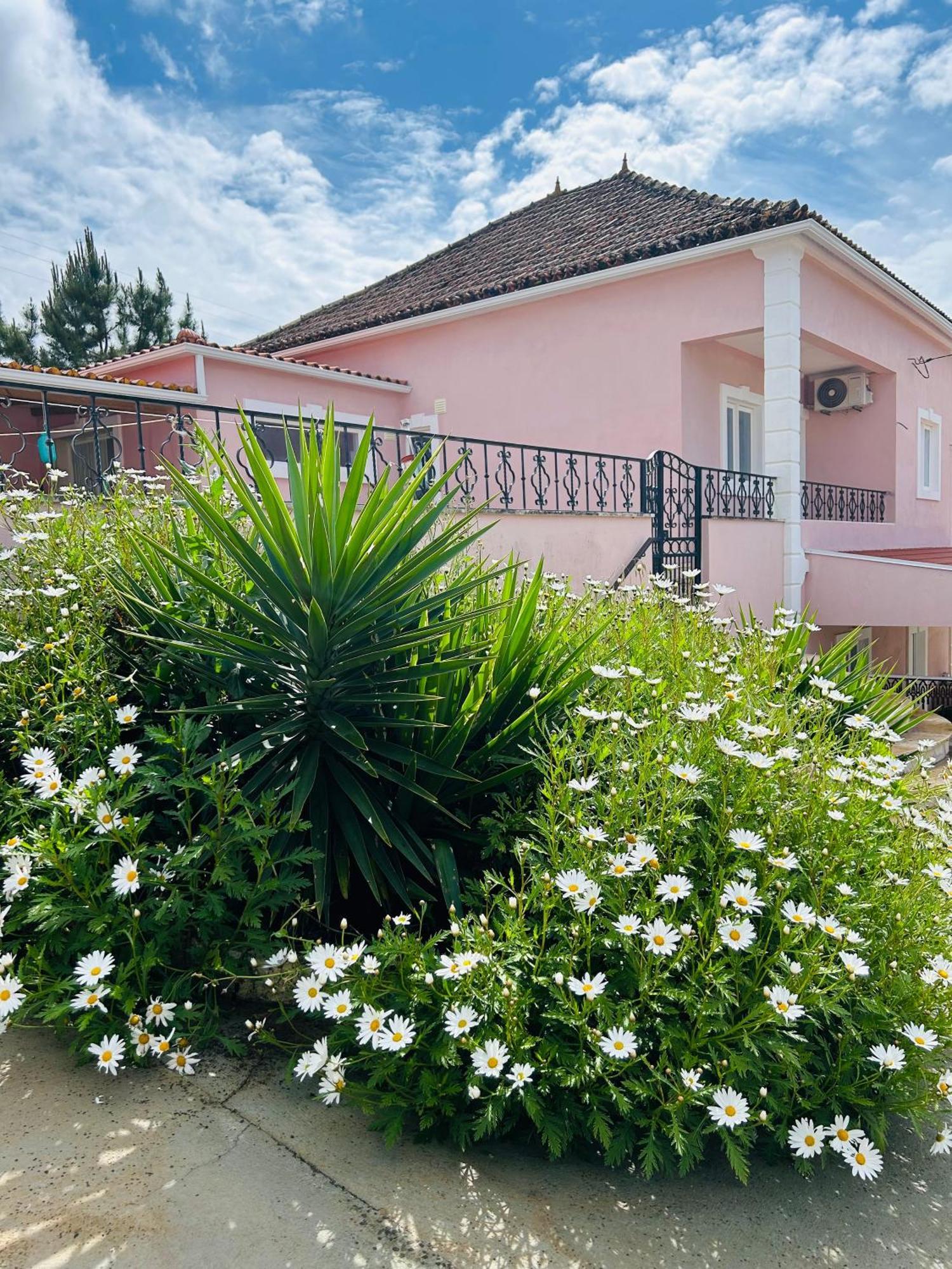 Mae Home Story Caldas Da Rainha Exterior photo