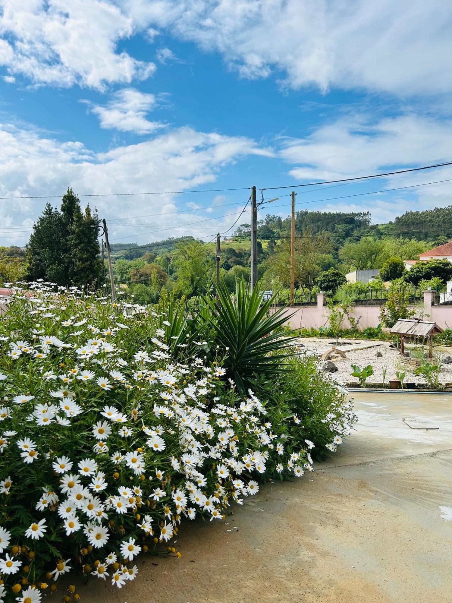 Mae Home Story Caldas Da Rainha Exterior photo